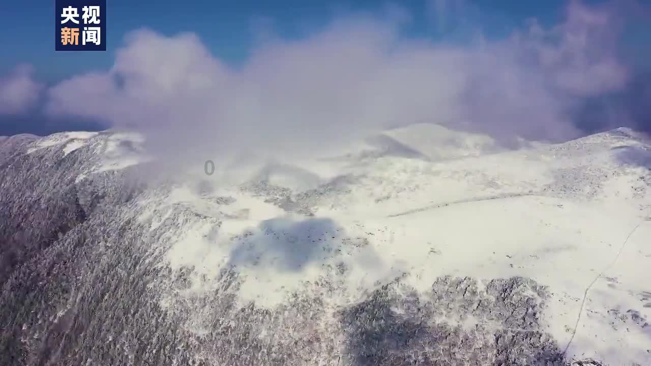 世界最长寿的人是谁游戏画面