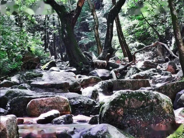 倩女幽魂手游